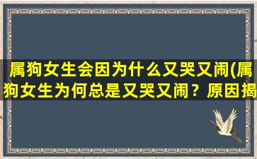 属狗女生会因为什么又哭又闹(属狗女生为何总是又哭又闹？原因揭秘！)