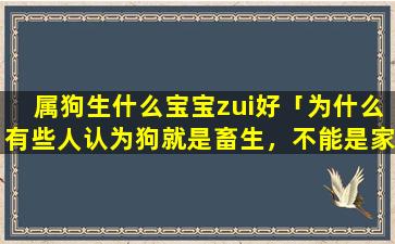 属狗生什么宝宝zui好「为什么有些人认为狗就是畜生，不能是家人呢，不能对狗如家人般对待」