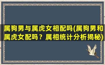 属狗男与属虎女相配吗(属狗男和属虎女配吗？属相统计分析揭秘)