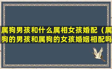 属狗男孩和什么属相女孩婚配（属狗的男孩和属狗的女孩婚姻相配吗）