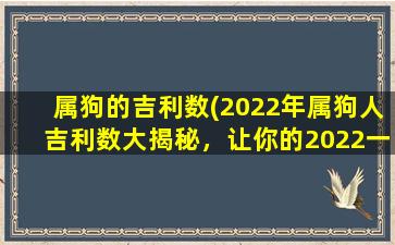 属狗的吉利数(2022年属狗人吉利数大揭秘，让你的2022一展独特风采！)