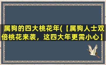 属狗的四大桃花年(【属狗人士双倍桃花来袭，这四大年更需小心】)