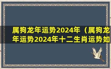 属狗龙年运势2024年（属狗龙年运势2024年十二生肖运势如何）