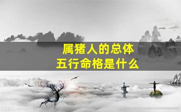 属猪人的总体五行命格是什么