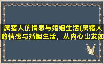 属猪人的情感与婚姻生活(属猪人的情感与婚姻生活，从内心出发如何调适？)