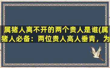 属猪人离不开的两个贵人是谁(属猪人必备：两位贵人高人垂青，为您保驾护航)