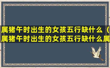 属猪午时出生的女孩五行缺什么（属猪午时出生的女孩五行缺什么属性）