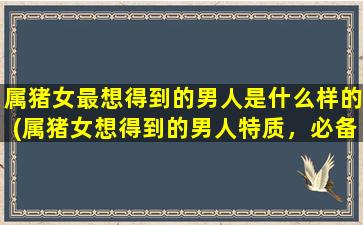 属猪女最想得到的男人是什么样的(属猪女想得到的男人特质，必备品详解！)