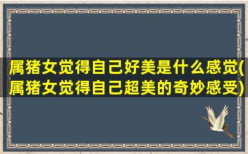 属猪女觉得自己好美是什么感觉(属猪女觉得自己超美的奇妙感受)