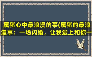 属猪心中最浪漫的事(属猪的最浪漫事：一场闪婚，让我爱上和你一起漫步生命的回廊)