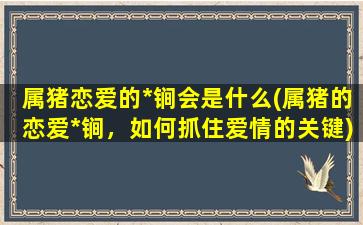 属猪恋爱的*锏会是什么(属猪的恋爱*锏，如何抓住爱情的关键)