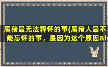 属猪最无法释怀的事(属猪人最不能忘怀的事，是因为这个原因…)