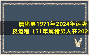 属猪男1971年2024年运势及运程（71年属猪男人在2023年的全年运势）