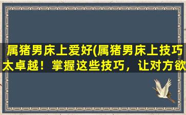 属猪男床上爱好(属猪男床上技巧太卓越！掌握这些技巧，让对方欲罢不能！)