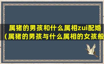 属猪的男孩和什么属相zui配婚（属猪的男孩与什么属相的女孩般配）