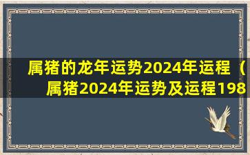 属猪的龙年运势2024年运程（属猪2024年运势及运程1983年出生）