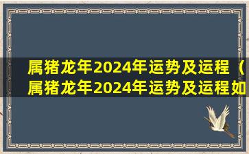 属猪龙年2024年运势及运程（属猪龙年2024年运势及运程如何）