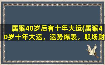 属猴40岁后有十年大运(属猴40岁十年大运，运势爆表，职场财运齐飞，赚钱小技巧揭秘！)