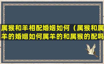 属猴和羊相配婚姻如何（属猴和属羊的婚姻如何属羊的和属猴的配吗）