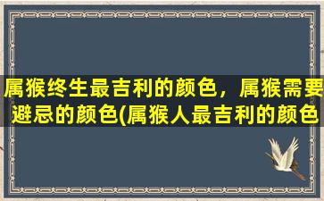 属猴终生最吉利的颜色，属猴需要避忌的颜色(属猴人最吉利的颜色及需要避忌的颜色，你知道吗？)