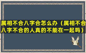 属相不合八字合怎么办（属相不合八字不合的人真的不能在一起吗）