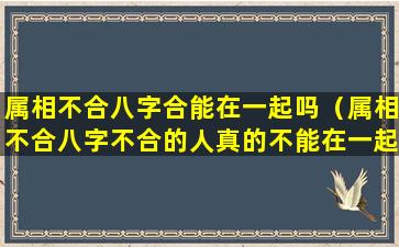 属相不合八字合能在一起吗（属相不合八字不合的人真的不能在一起吗）