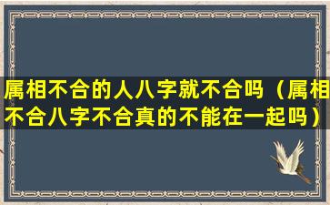 属相不合的人八字就不合吗（属相不合八字不合真的不能在一起吗）