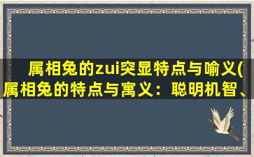 属相兔的zui突显特点与喻义(属相兔的特点与寓义：聪明机智、敏捷、善良美好。)