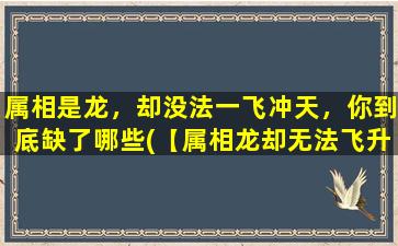 属相是龙，却没法一飞冲天，你到底缺了哪些(【属相龙却无法飞升？这些原因你可能忽略了】)