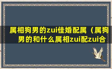 属相狗男的zui佳婚配属（属狗男的和什么属相zui配zui合适呢属狗）