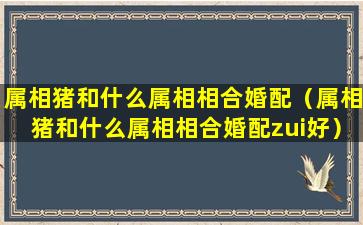 属相猪和什么属相相合婚配（属相猪和什么属相相合婚配zui好）