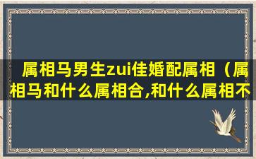 属相马男生zui佳婚配属相（属相马和什么属相合,和什么属相不合）