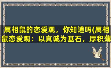 属相鼠的恋爱观，你知道吗(属相鼠恋爱观：以真诚为基石，厚积薄发共筑爱情世界)