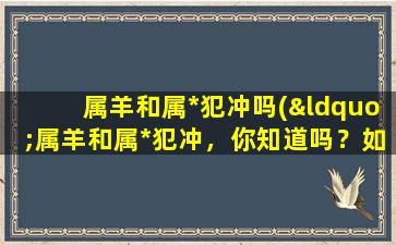 属羊和属*犯冲吗(“属羊和属*犯冲，你知道吗？如何化解这种犯冲？”)