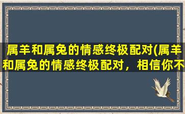 属羊和属兔的情感终极配对(属羊和属兔的情感终极配对，相信你不知道的三个小秘密！)