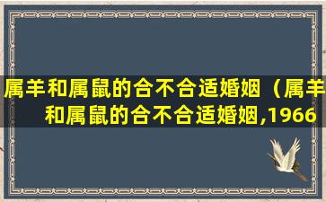 属羊和属鼠的合不合适婚姻（属羊和属鼠的合不合适婚姻,1966年属什么）