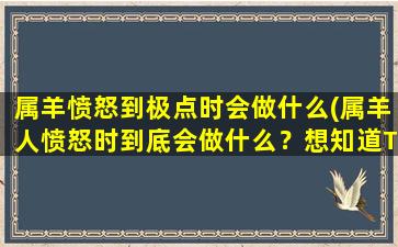 属羊愤怒到极点时会做什么(属羊人愤怒时到底会做什么？想知道TA们的行为表现？)