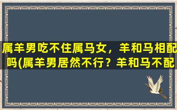 属羊男吃不住属马女，羊和马相配吗(属羊男居然不行？羊和马不配？这可能是你从未听过的*！)