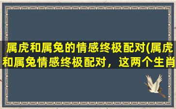 属虎和属兔的情感终极配对(属虎和属兔情感终极配对，这两个生肖的恋爱套路走起！)