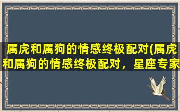 属虎和属狗的情感终极配对(属虎和属狗的情感终极配对，星座专家*告诉你)