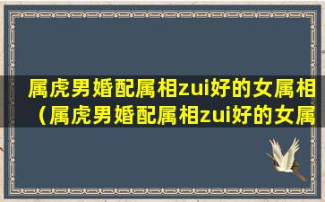 属虎男婚配属相zui好的女属相（属虎男婚配属相zui好的女属相是谁）