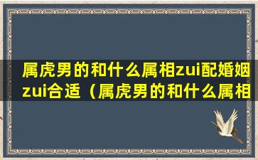 属虎男的和什么属相zui配婚姻zui合适（属虎男的和什么属相zui配婚姻zui合适女人）