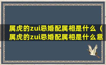 属虎的zui忌婚配属相是什么（属虎的zui忌婚配属相是什么意思）