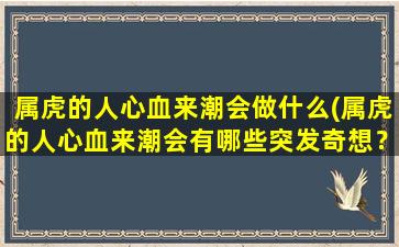 属虎的人心血来潮会做什么(属虎的人心血来潮会有哪些突发奇想？)