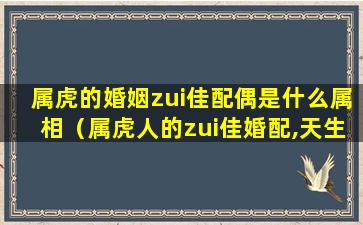 属虎的婚姻zui佳配偶是什么属相（属虎人的zui佳婚配,天生一对,一生幸福）