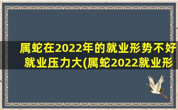 属蛇在2022年的就业形势不好就业压力大(属蛇2022就业形势堪忧，就业压力成大难题)