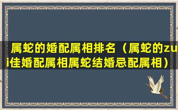 属蛇的婚配属相排名（属蛇的zui佳婚配属相属蛇结婚忌配属相）