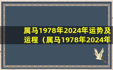 属马1978年2024年运势及运程（属马1978年2024年运势及运程女生日农历9月初二）