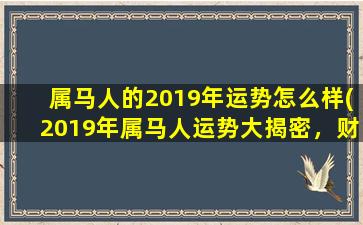 属马人的2019年运势怎么样(2019年属马人运势大揭密，财运、事业、感情都走高！)