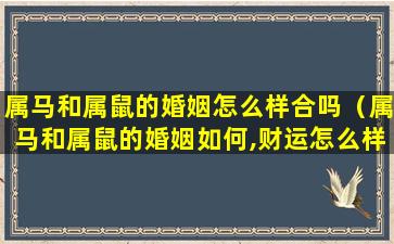 属马和属鼠的婚姻怎么样合吗（属马和属鼠的婚姻如何,财运怎么样）